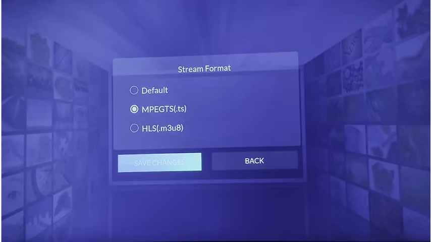 Interface sur le choix du format dans l'application
